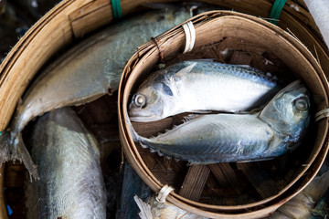 steam mackerel