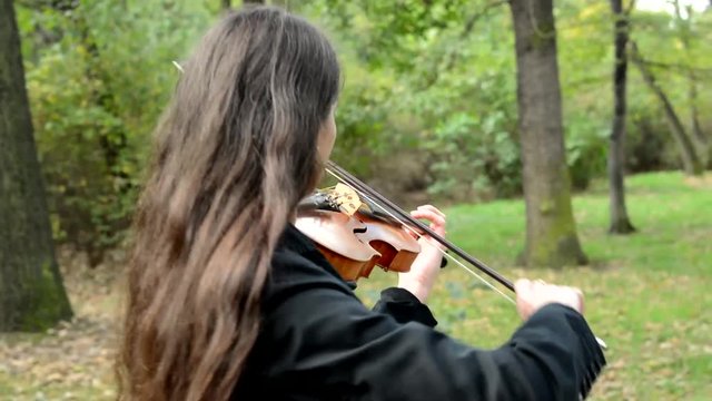 young woman walk in the park and play on the violin - look at her back