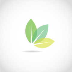 leaf butterfly icon vector