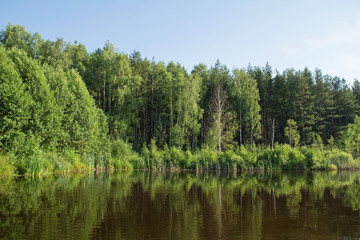 Fototapeta na wymiar Beautiful forest pond in early spring. Central Russia.