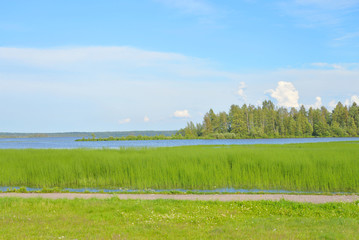 Lake at summer day.