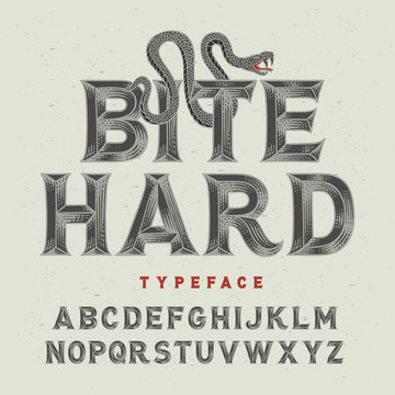 Vintage angry font with high level handcrafted details and crawling snake illustration