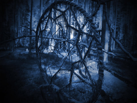 Dreamcatcher in the forest