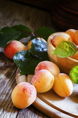 Fototapeta na wymiar Fresh apricots, selective focus
