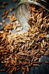 Zira or cumin, selective focus