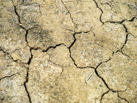 Cracks of the dried soil in arid season