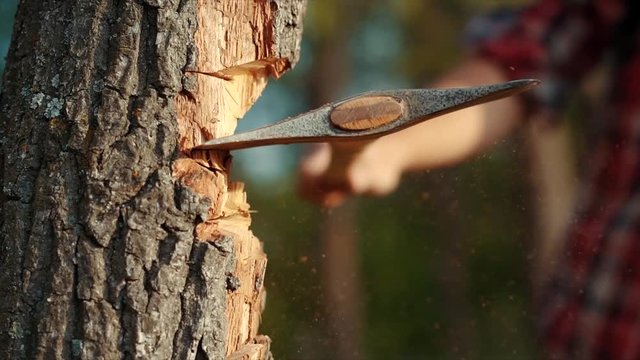 Axe in a tree on a green background
