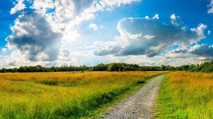 Wiese mit Weg bei Sonnenschein © Günter Albers