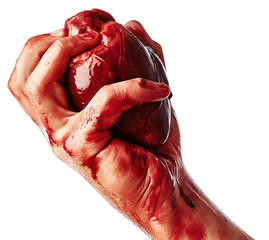Bloody heart in human hand close up isolated on white background © Nik_Merkulov
