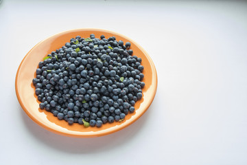 лесная черника