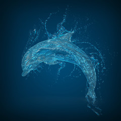 Dolphin water © juanjo7776