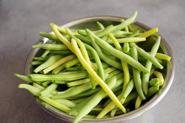haricots nain verts écossé