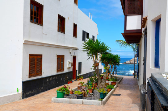Beautiful street with tropical plants in fishing village La Caleta,Tenerife,Canary Islands,Spain.