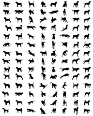 Black silhouettes of different breeds of dogs, vector