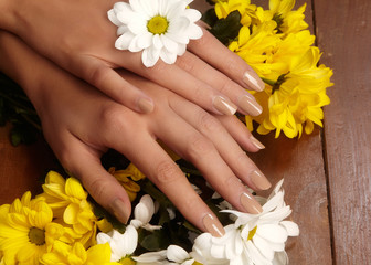 Obraz na płótnie Canvas Beautiful female fingers with natural beige manicure touching spring flowers. Care about female hands, healthy soft skin. Spa & cosmetics. Close-up of beautiful fingers with nails polish 