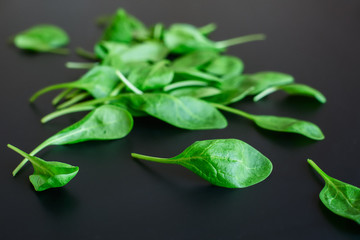 Fototapeta na wymiar Green spinach leaves on a black background
