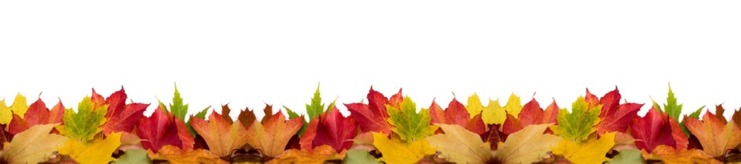 ein Panorama von bunten Blättern im Herbst
