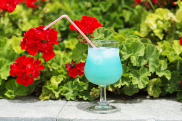 Blue cocktail on the colorful flower background