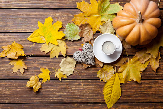 fallen leaves, pumpkin, toy and cup of coffee