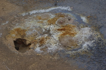 Gasaustrittsloch auf Island