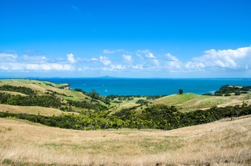 Fototapeta na wymiar A beautiful Shakespear Bay which is located in the Shakespear Regional Park, Auckland Region, New Zealand