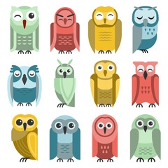 Fototapeta premium Cute vector collection of bright cartoon owls. Animal character cartoon owl comic funny collection. Doodle cheerful birds behavior cartoon owl. Adorable different owl various expression birds.