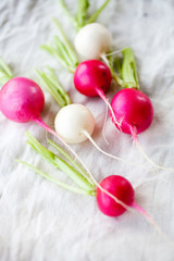 Fresh radishes