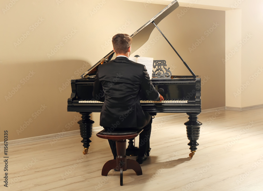 Canvas Prints musician playing piano