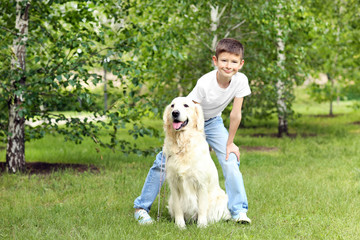 Small boy and cute dog in park