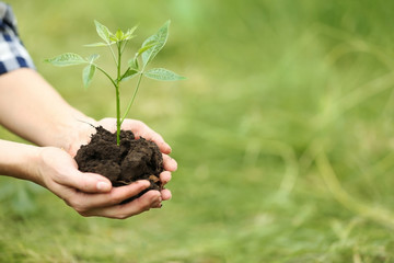 Fototapeta premium Woman planting tree in garden