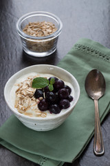 Blueberry Oats on Yogurt