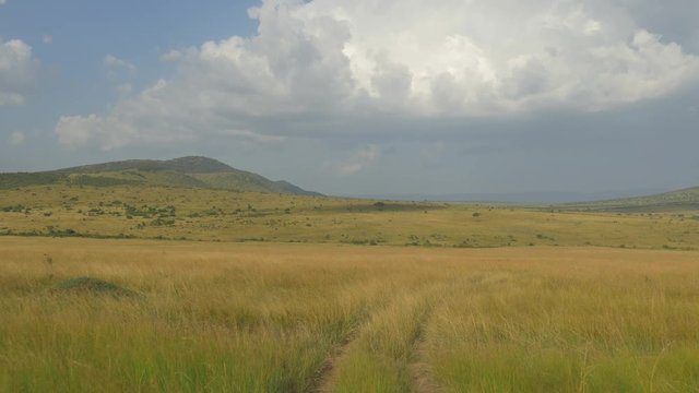 AERIAL: dirt road through African safari