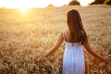 Beautiful woman in barley field