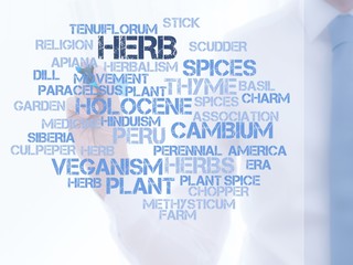 Herb