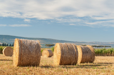 Straw bales in the plain of Catania, Sicily