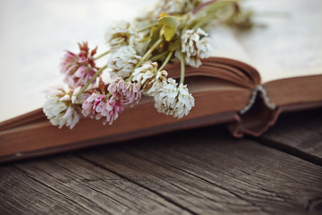 Flowers of a clover lie on the old book