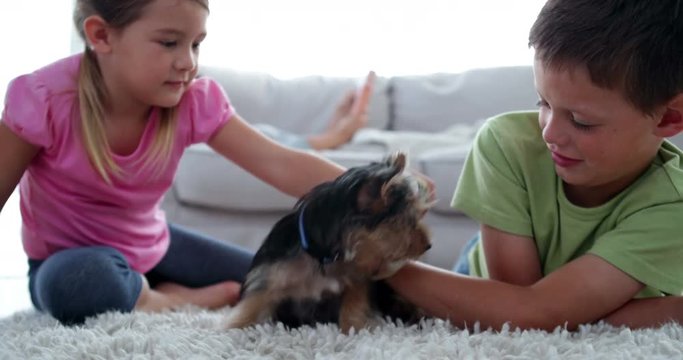 Siblings playing with puppy and bone with their mother reading on the sofa