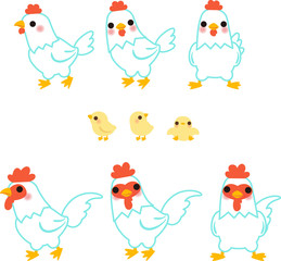 鶏の家族 白色レグホン