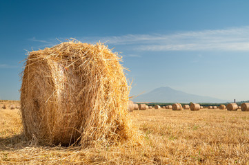 Straw bales in the plain of Catania, Sicily, and Mount Etna in the background