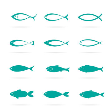 Set of vector fish icons on white background, Vector fish icons