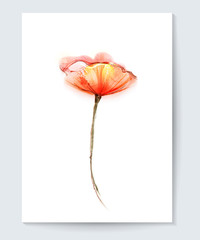 Vector watercolor painting poppy flower. Water color pink and red flower isolated on white background. Red poppy vector flower, floral background.