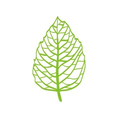 лист дерева © Abundzu