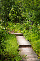 Fototapeta na wymiar Wooden Hiking Path