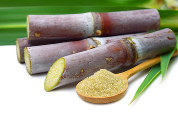 Sugar cane with brown sugar and green leaf on white background.