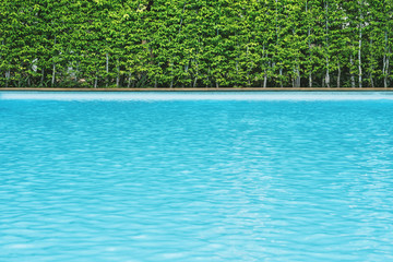 Blue ripped water with green bush at swimming pool