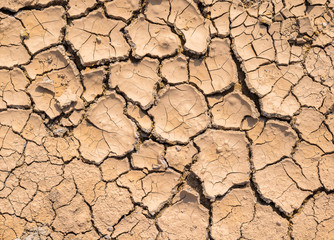 Cracked earth on dry season for texture and background