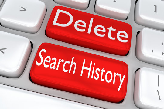 Delete Search History concept