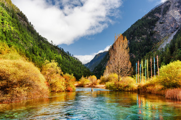 River with crystal clear water among mountains and woods
