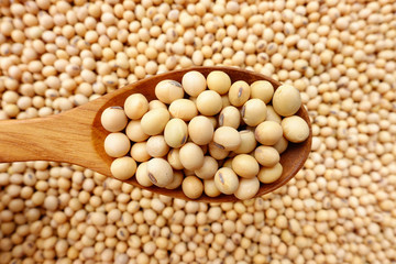 Soy beans with a wooden spoon.