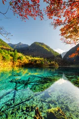 Abwaschbare Fototapete Scenic view of the Five Flower Lake among colorful fall woods © efired